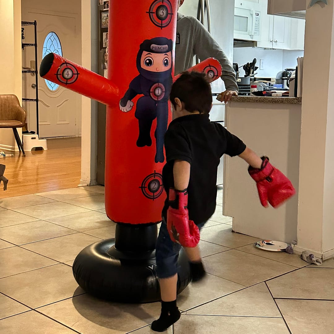 indoor punching bag for kids, kickboxing